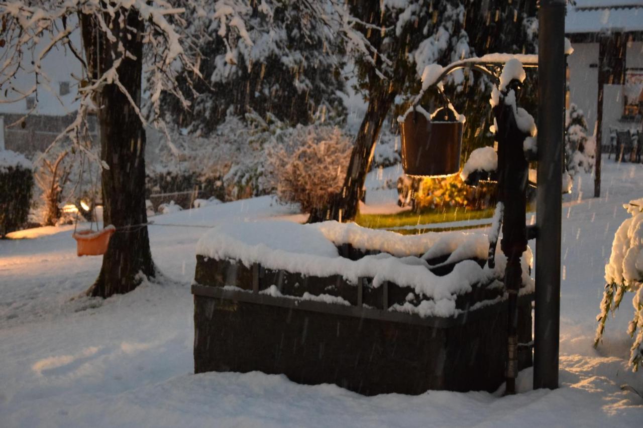 Il Fienile - Lake Como Heritage Home In Molino Maufet Watermill - Lake View Terrace コーリコ エクステリア 写真